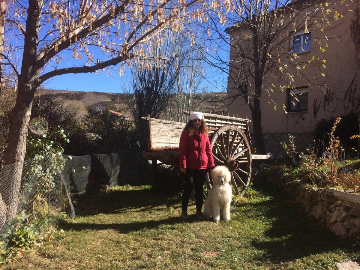 Casas Rurales Chon Alto Tajo Peralejos de las Truchas Eksteriør billede